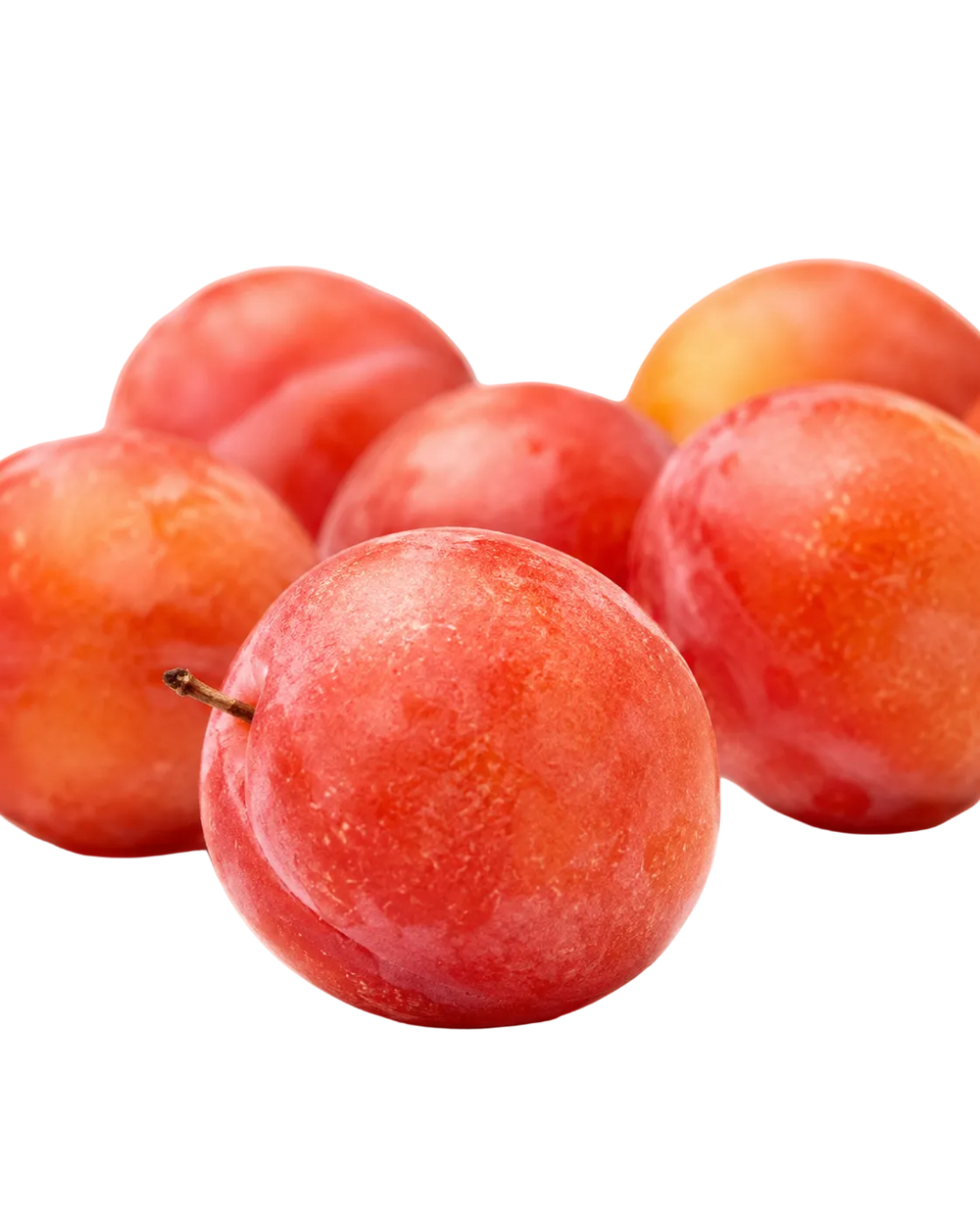 Prune Soryana