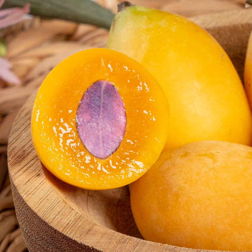 Prune mariane (prune mini mangue)