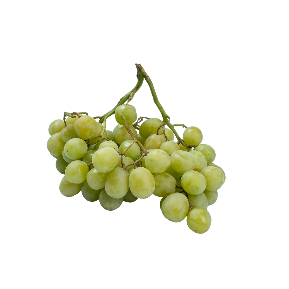 Raisin sans pépins vert bonbon «Cotton candy»