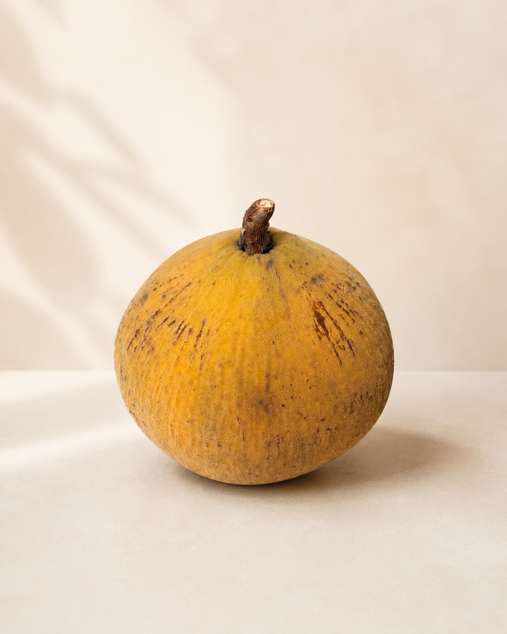Santol Frais