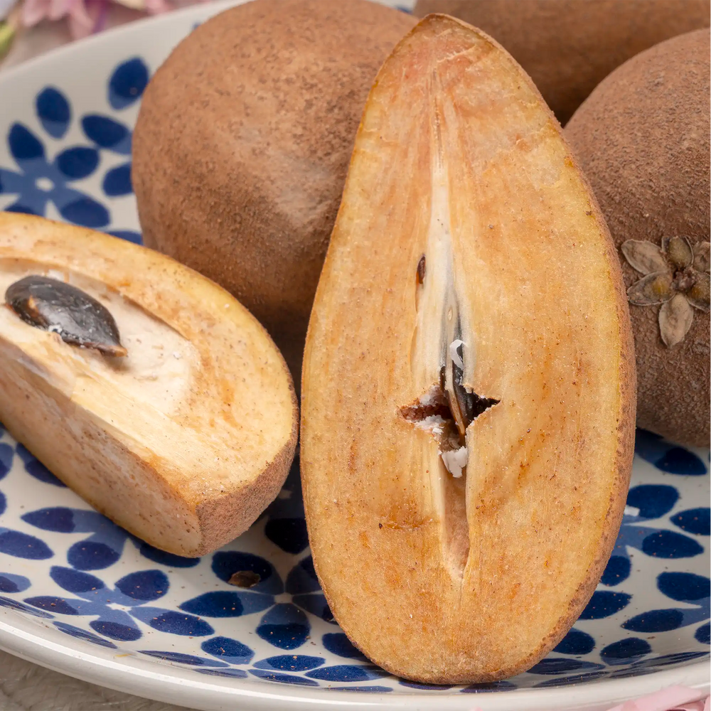 Sapotille du Vietnam