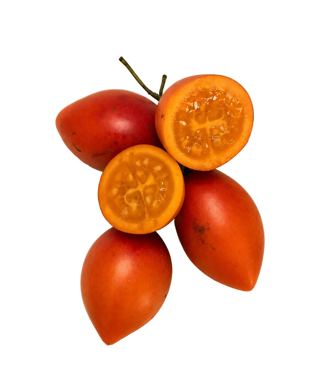 Tomate Arbuste de l'Île de la Réunion
