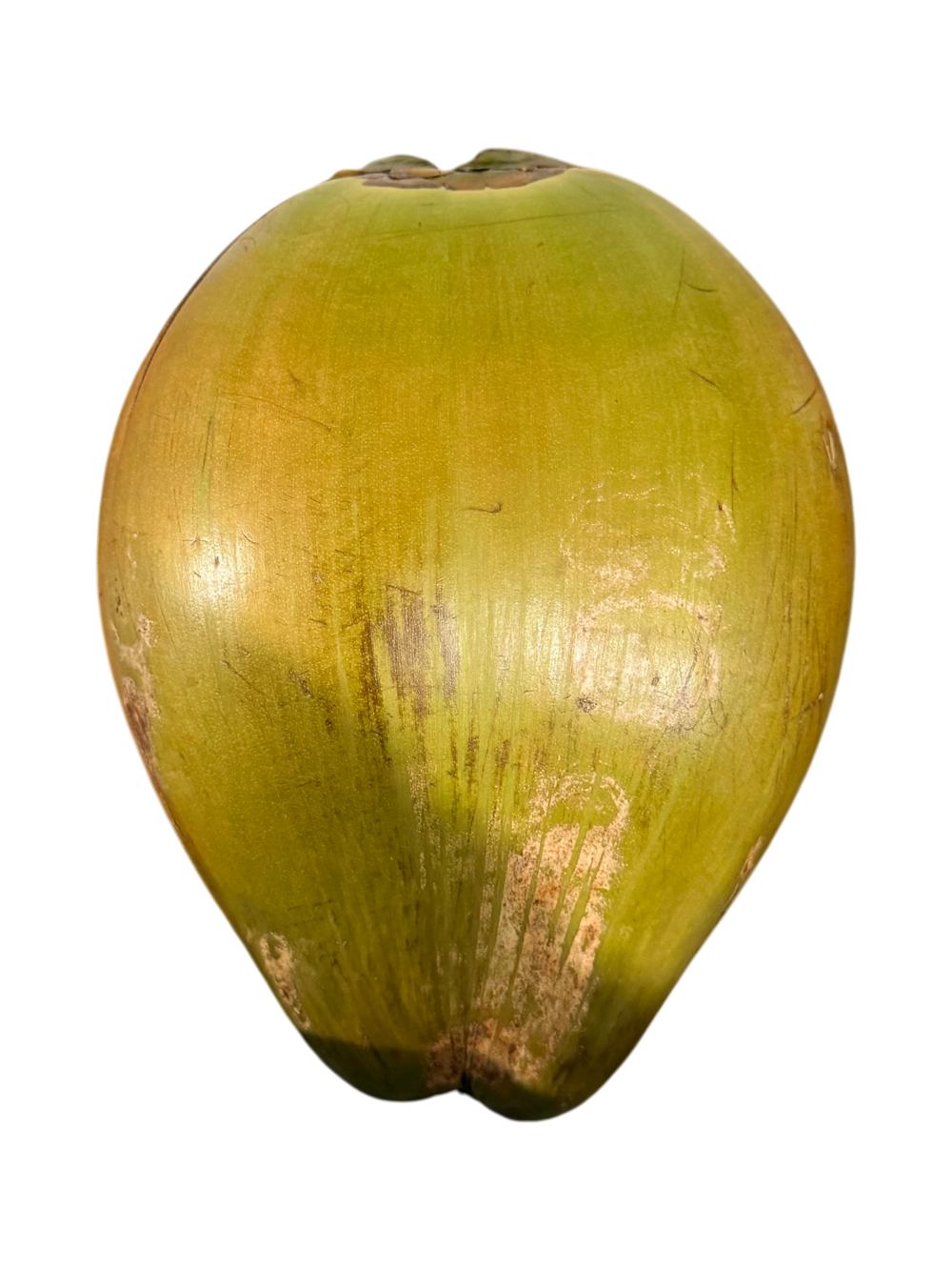 Coco de Martinique