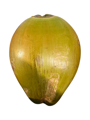 Coco de Martinique