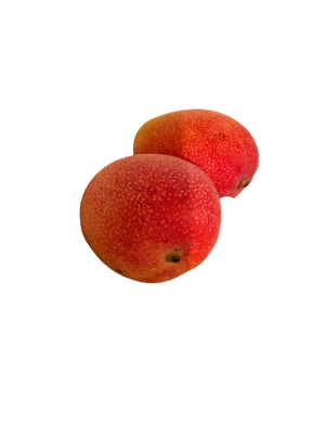 Mangue Haden