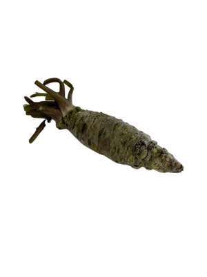 Wasabi Frais du Japon 70gr