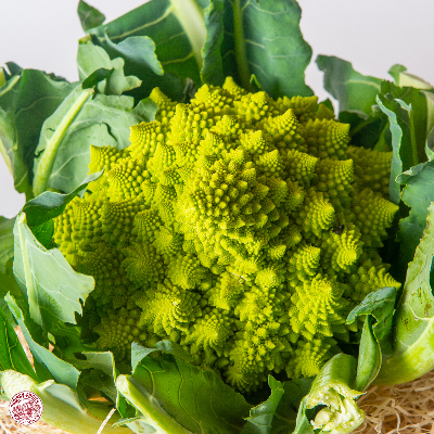 Chou romanesco Franais