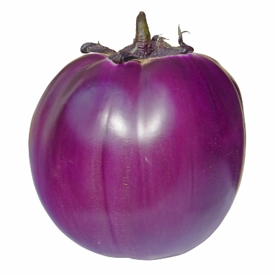 Aubergine Ronde